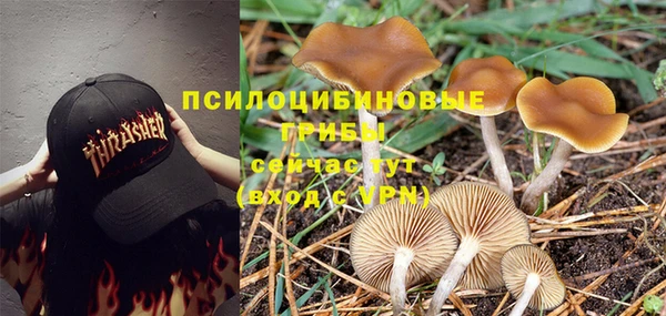 ГАЛЛЮЦИНОГЕННЫЕ ГРИБЫ Верхнеуральск