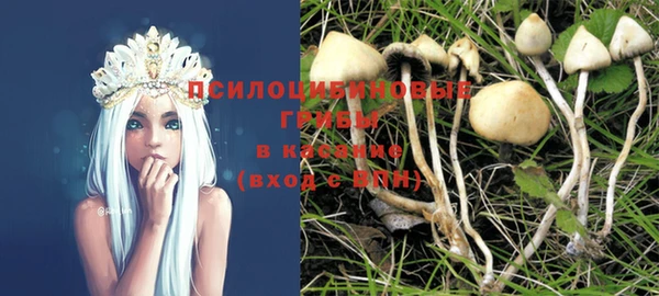 прущие крисы Верхний Тагил