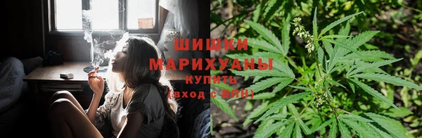 ГАЛЛЮЦИНОГЕННЫЕ ГРИБЫ Верхнеуральск