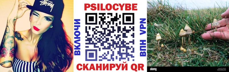 Галлюциногенные грибы Psilocybine cubensis  Крым 